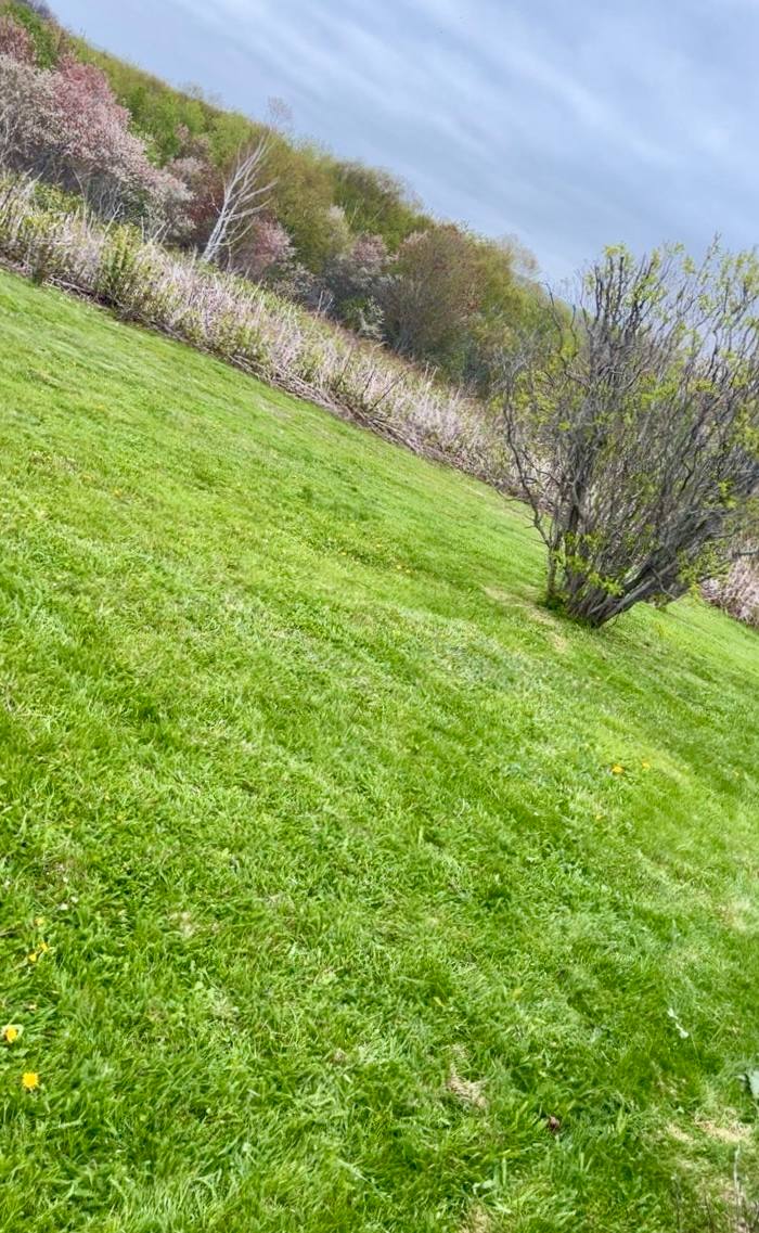Lawn Maintenance — Lawn Care by JC Property Care