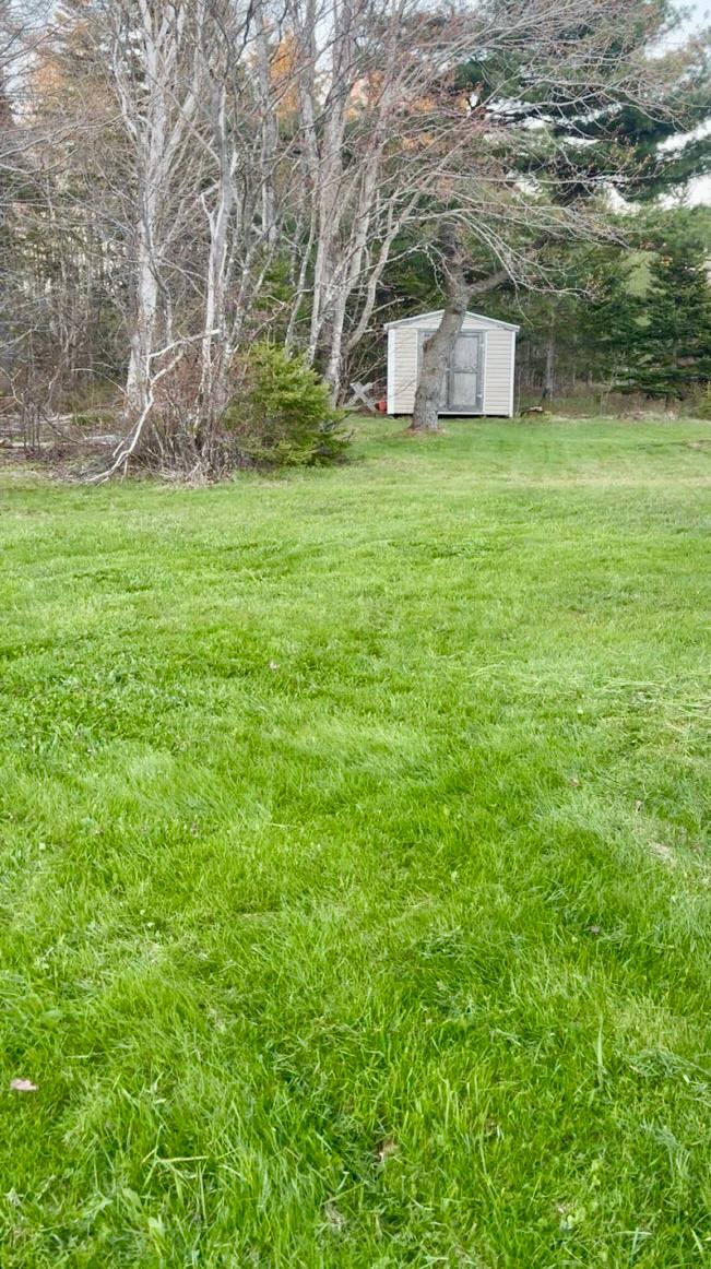 Yard Care — Lawn Care by JC Property Care